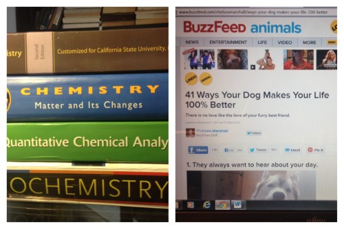 Chemistry or Cute Animals? The Struggle Is Real. 